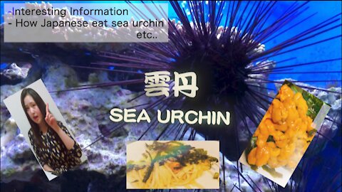 Sea Urchin---Japanese luxury food