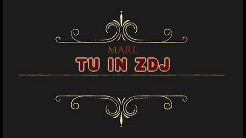 MARE - TU IN ZDJ + LYRICS