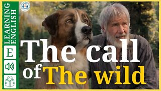 Learn English Through Story level 3 🍁 The call of The wild