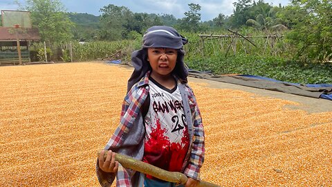 Harvest Time