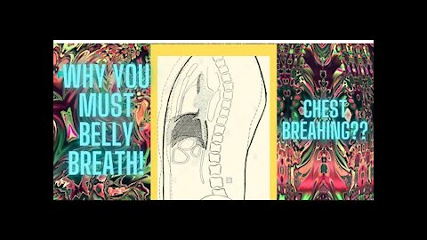 BREATHE WITH YOUR BELLY