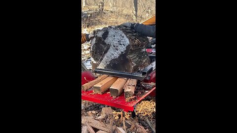 Amazing Firewood Machine #shorts #fyp #firewood #amazing #power