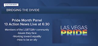 Pride Month Panel on 13 Actions News