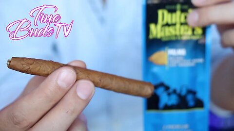 How To Roll Dutch Master Palma Properly | How To Scroll A Dutch Master True Buds TV
