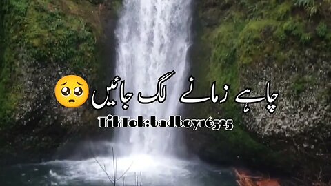 Ham thikane lag jaen | status video| shayri #shayari #poetry #hindisong #hindisong