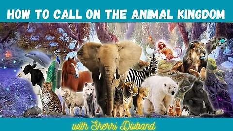 How to Call Upon the Animal Kingdom for Protection with Sherri Divband