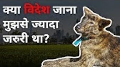 #animalrescue #dogrescue Peepal Farm की सबसे बदकिस्मत Dog! | Dog rescue