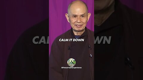 What to do when the present moment feels UNBEARABLE | Thich Nhat Hanh Powerful Wisdom #shorts