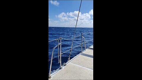 catamaran view