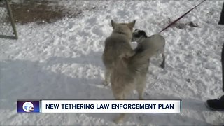 Vets say new dog tethering law needs adjusting