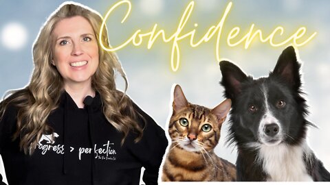 How To Find Confidence As A Pet Parent