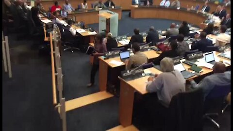 UPDATE 2 - Cape Town Mayor De Lille survives motion of no confidence (Rc4)