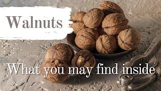 Walnuts - The Good, the Dry, and the Worm Infested!
