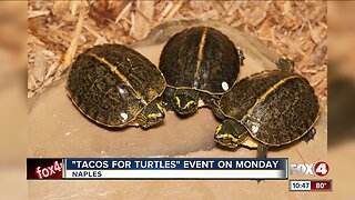 Tacos for Turtles event on Monday