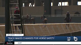 Track makes changes for horse safety