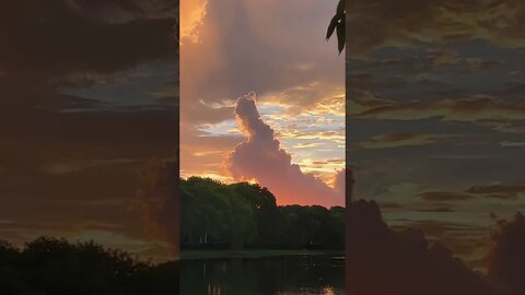 Giant rabbit! #clouds #sky #shorts #sunset #photography #rabbit