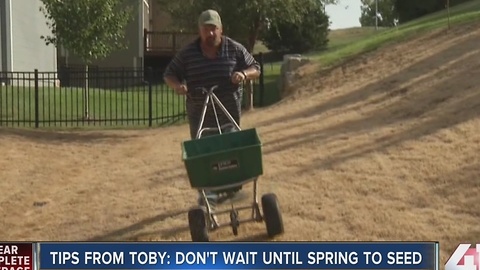 Tips from Toby: Don'w wait until spring to seed
