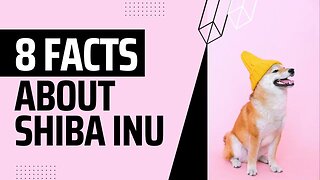 Interesting Facts About Shiba Inu. Learn more about this interesting breed.