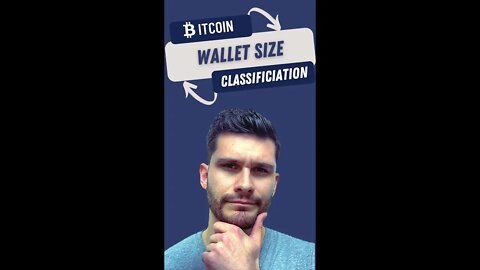 Bitcoin wallet size classification