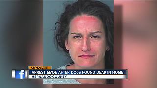 Woman arrested after several dogs found dead, said to be abandoned in home before Hurricane Irma