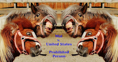 Mai v. United States Cert Petition - Prohibited Person