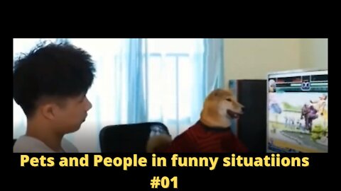 Pets and People in funny situations 🤣