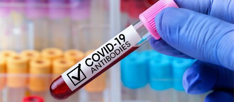 COVID VACCINATED VS COVID POSITIVE ANTIBODIES: THE PROTECTED!