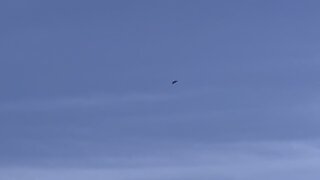 Fighter jet over Toronto. Snowbirds?