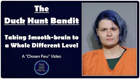 A Whole New Level of Smooth-brain: The Duck Hunt Bandit