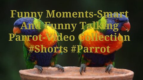 Funny Moments-Smart And Funny Talking Parrot-Video Collection #Shorts #Parrot