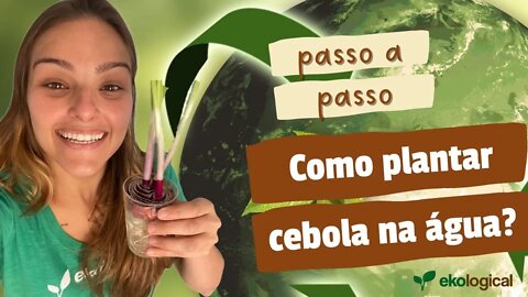 Como plantar cebola na água? | Passo a Passo