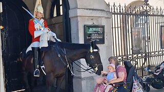 A another beautiful moment a disabled woman and her grandchild meet the kings guard and his horse