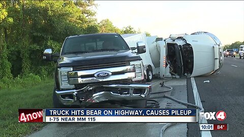 Wildlife expert: FL bear vs. vehicle crashes will increase