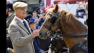 Prince Philip has undergone a 'successful procedure'