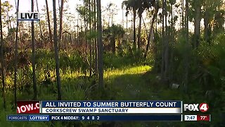 Butterfly count at Corkscrew Swamp Sanctuary 7:30 a.m.