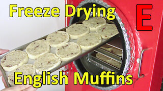 Freeze Drying English Muffins