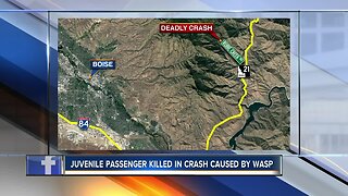 ISP: Juvenile passenger killed in crash on Robie Creek Road after wasp flew into car
