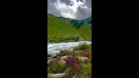 Nature of India - kashmir