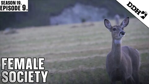 The Female Society | Deer & Deer Hunting TV