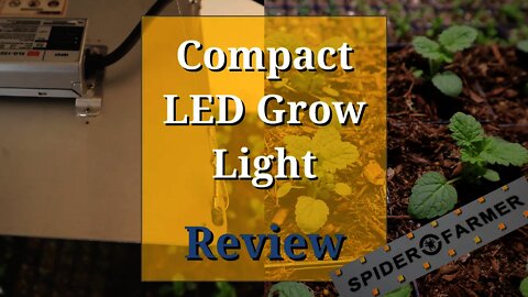 Spider Farmer SF1000 LED Grow Light Review
