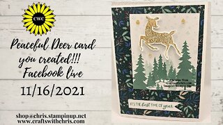Peaceful Deer Card by Stampin' Up! with viewers Suggestions!!!
