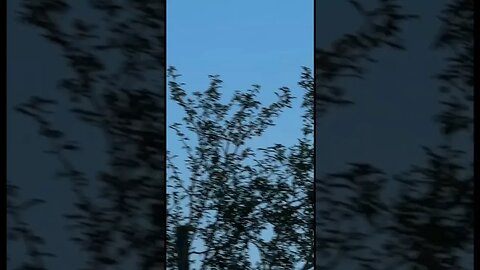 UFO Sighting 🛸 in Riyadh, Saudi Arabi 🛸 Observed on 3 13 2023 DISCLOSURE