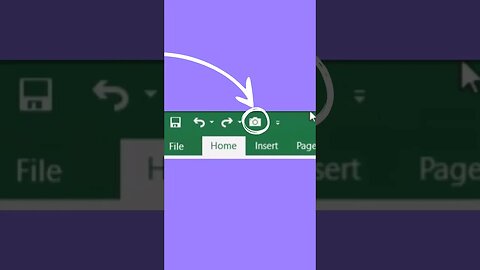 Using Excel Hidden Camera to Create Live Screenshots