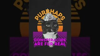 The Cat in the Tinfoil Hat May Be Right #funny #conspiracy #meme #shorts