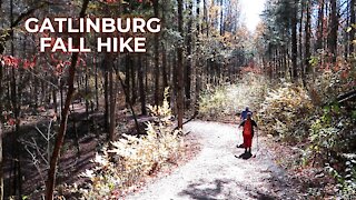 Beautiful Scenic Walk in The Woods | Gatlinburg Tennessee November 12 2021