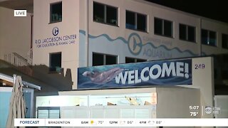 Clearwater Marine Aquarium unveils $80 million expansion