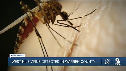 West Nile Virus detected in Warren County