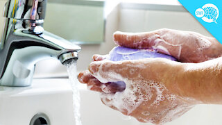 BrainStuff: How Dirty Is Soap?