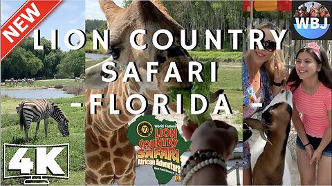 LION COUNTRY SAFARI IN WEST PALM BEACH, FLORIDA - 4K VIDEO