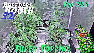 Breeders Booth S2 Ep. 5 | Veg Weeks 7 & 8 | What I Like To Call “Super Topping”